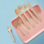 Biodegradable Bamboo Utensil Disposable Bamboo Cutlery Set for Party Camping