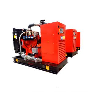Quality 30kW Natural Gas Engine Generator Set Electric Start ISO Approved wholesale