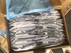 Quality BRC Certified 3# BQF Sea Frozen Pacific Saury Fish wholesale
