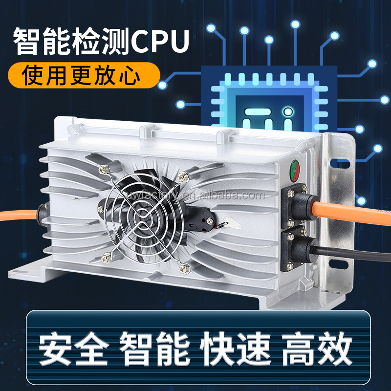 LED Display Li-ion Battery Charger for 14.6V 48V 36V 60V 72V 84V 30A 4S LiFePO4 ABS Material Professional Custom
