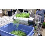 CE Certified Mini Harvester for Harvesting Aquaponics or Greenhouse Grown