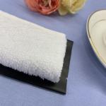 Household Adults 22cm Airline Wet Towel