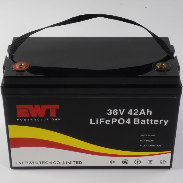 Black Portable 36V 42AH LifePo4 Battery Pack For Power Supply Chargeable and