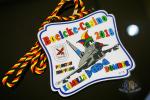 Bespoke Medailles Carnivalorden Metal Award Medals Soft Enamel With Epoxy / Cord