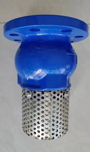 Quality PN10/PN16 GGG50 foot valve made in China wholesale