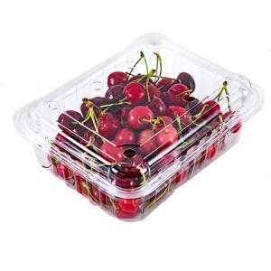 Quality Pp Food Grade 1500ml Disposable Plastic Boxes wholesale