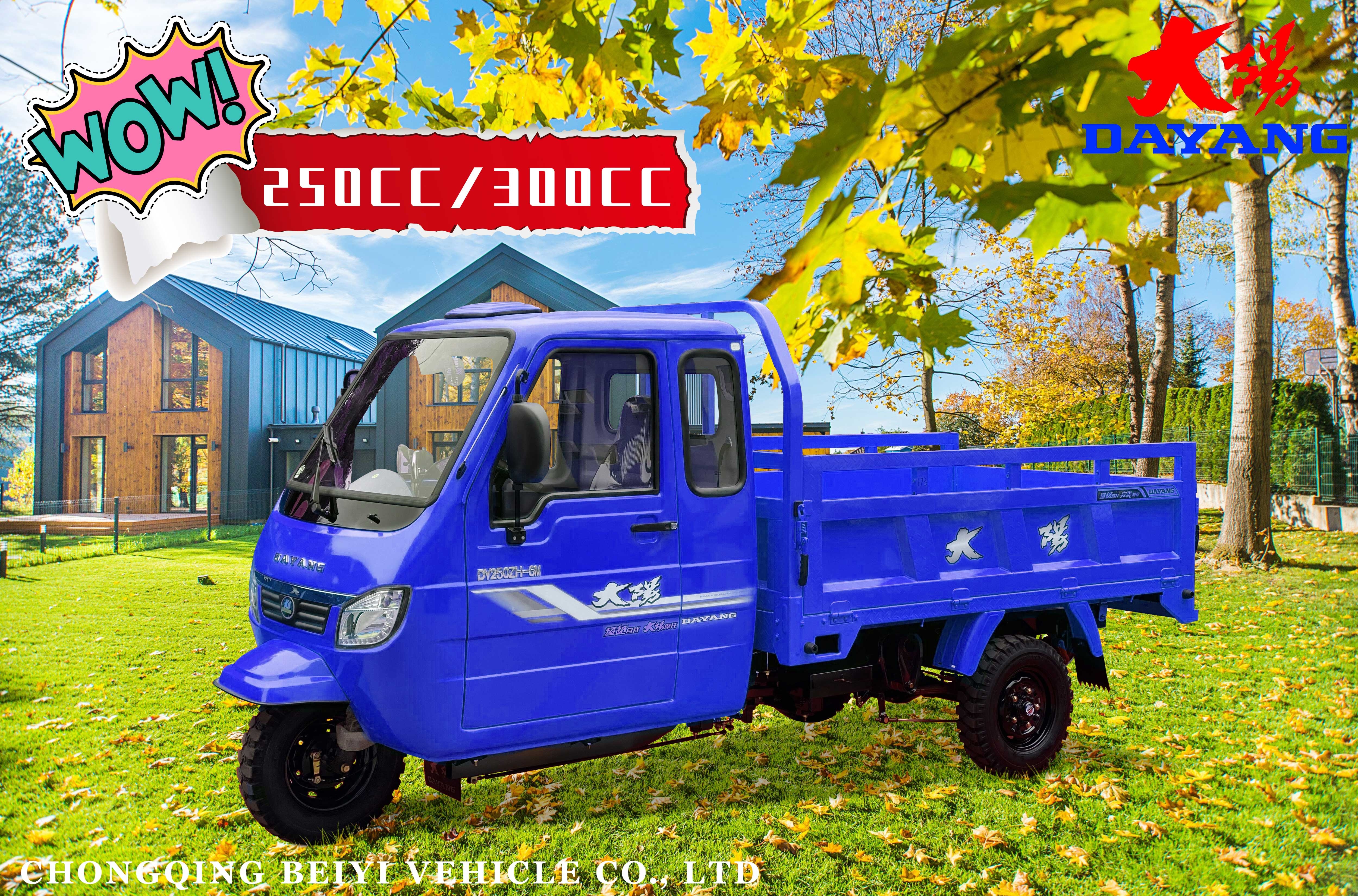 Easy Maneuverability Gasoline Motorized Tricycle for Adults 1 Passenger Cargo Tricycle