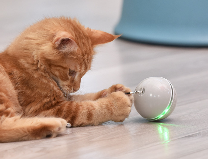 Pink Teaser Ball Dog Toy Electric Dog Teaser Ball Interactive Pet Toys