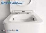 Rimless Free Standing Toilet With Hidden Water Tank , floor standing wc