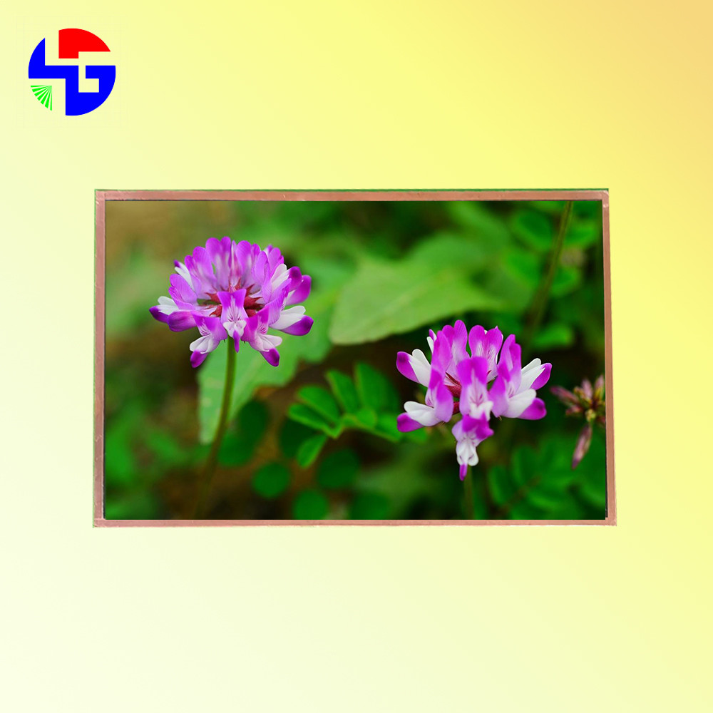 1280x800 Resolution Custom TFT Display 10.1 Inch LVDS Interface 40PIN