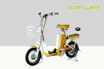 250W Lightweight Pedal Assist Electric Bike 16" Two Wheels 48V Lithium Battery