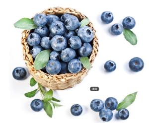 Quality 2015 TOP hot selling Bilberry Extract wholesale
