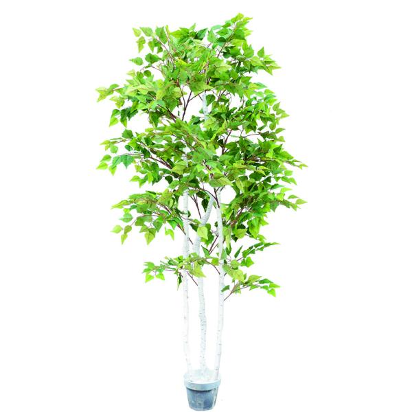 Ornamental Plant Artificial Radermachera Sinica Natural Greening For Home