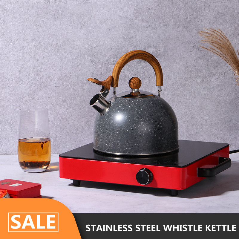 Household stainless steel electric OEM tea pot hot water whistling kettle