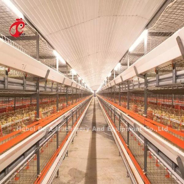 Intelligent Poultry Battery Cage System Semi Automatic And Automatic For