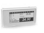 anti-theft electronic shelf label for supermarket and retail store