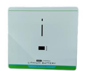 Quality 48V 100AH Domestic Battery Systems LiFePo4 Wall Mounted Battery wholesale