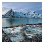 Original Nature Style Indoor Area Rug PP High Pile Height High Density