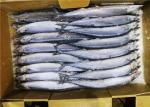 90g 100g Healthy Cololabis Saira Frozen Pacific Saury
