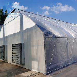 Quality Black White Tunnel Single Span Greenhouse 150 Micron Film Covered No Welding wholesale