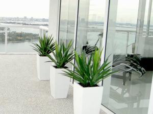 Quality Square Fiberglass Flower Planter Pots For Indoor And Outdoor wholesale