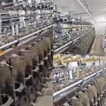 Used PA Nylon Cotton Doubling Tfo Yarn Twisting Machine 5000r/Min