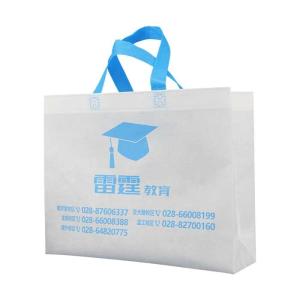 Quality Eco Friendly Polypropylene Non Woven Bags For Shopping Shrink Resistant wholesale