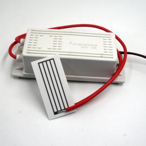 Quality 2g/H Ceramic Ozone Plates 12V Generatore Di Ozono With Transformer wholesale