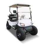 ODM All Terrain 2 Seater 4x4 Golf Buggy Cart Color