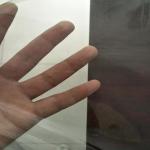 80 Microns 160cm Biodegradable Plastic PLA Packaging Film