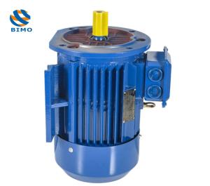 Quality B3 B5 B35 Mounting Motor 0.75kw-315kw Three Phase Cast Iron Electric Motor wholesale