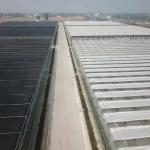 Farm Agriculture Greenhouse Equipments Multi Span Glass Inner Outer Shading