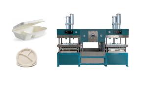 Quality Biodegradable Pulp Molded Cup Lid Machine wholesale