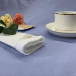 100% Cotton Antiseptic Airline Wet Towel
