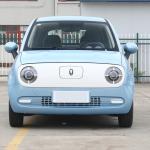 Range 301km Pure Electric Vehicle Great Wall Euler Cat Minicar 35kw 125NM