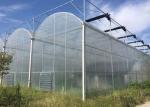 Agricultural Multi Span 10m 200 Micron Ldpe UV Film Greenhouse