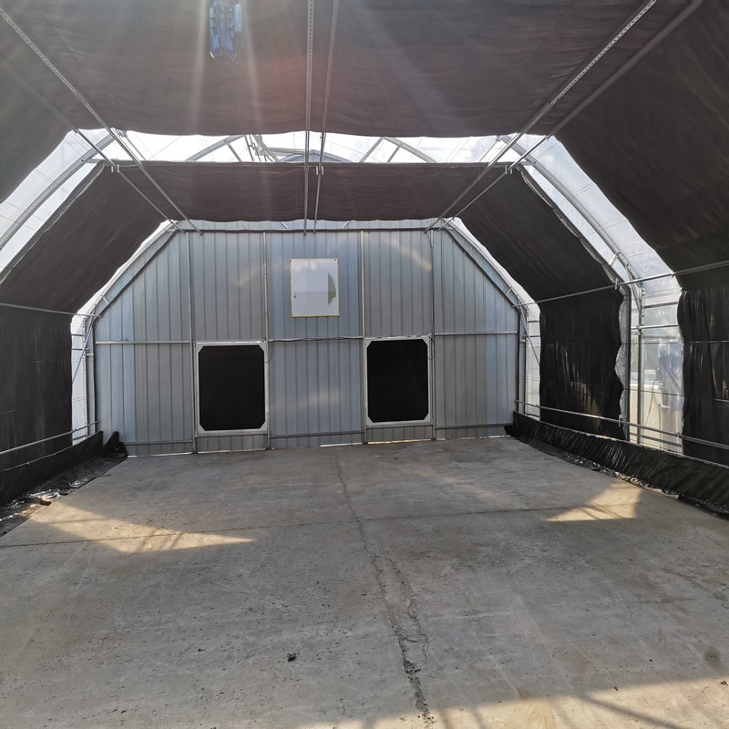 Automatic Polycarbonate Metal Frame Agriculture Greenhouse Blackout For Mushroom Growing