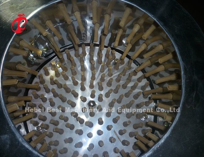 China Industrial Broiler Processing System Chicken Defeathering Machine Iris