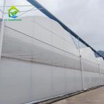 Multi Span Agricultural Plastic Film Tropical Greenhouse For Tomato