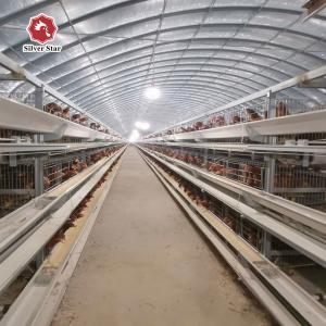 Quality H Type 3 Tiers Chicken Poultry Cage 5 Layers/Cell For Farm wholesale