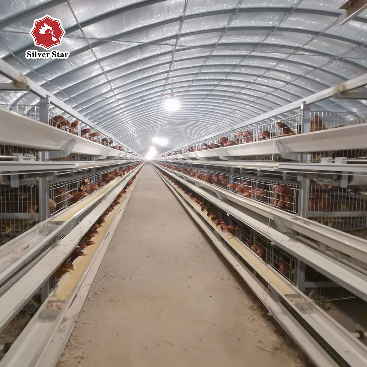 45x41x50 Cm Battery Layer Chicken Cage Hot Galvanized Silver Color