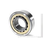 Carbon Steel 2RS 2RZ Cylindrical Roller Bearing NU 2306
