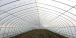 Agriculture Single Tunnel Greenhouse / Cold Frame Greenhouse Beam Mount Space 0