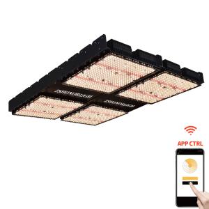 Quality 1000W Indoor House Plant Lights 4x4 Grow Light wholesale