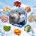 Vegetables Food Vacuum Freeze Dryer SS Freeze Drying Equipment