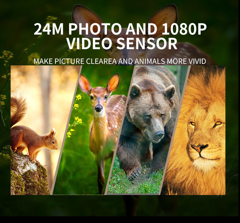 32MP Hunting Trail Camera 60 Degree PIR Sending Angle Waterproof 4K / 10fps
