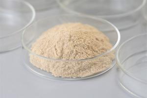 Quality Tanning Protease Industrial Enzymes Soluble Protein Loosening Collagen Fiber wholesale