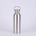17 Oz Stainless Steel Sports Water Bottle Insulated Reusable Water Bottles With
