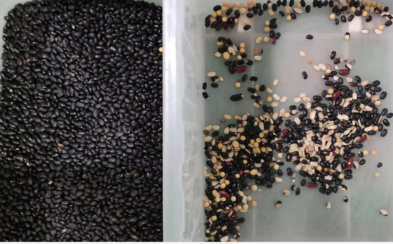 China Factory Wholesale Customized Automatic Kidney Beans Color Separator Machine