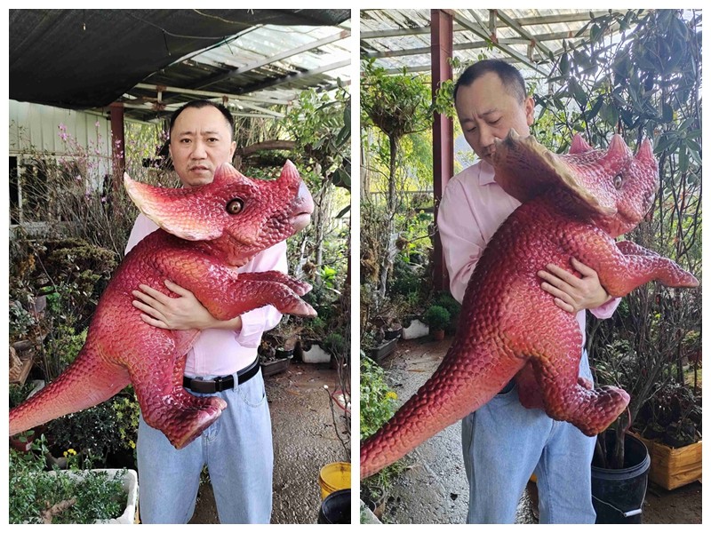 Red Baby Customization Dino Hand Puppet For Amusement Park